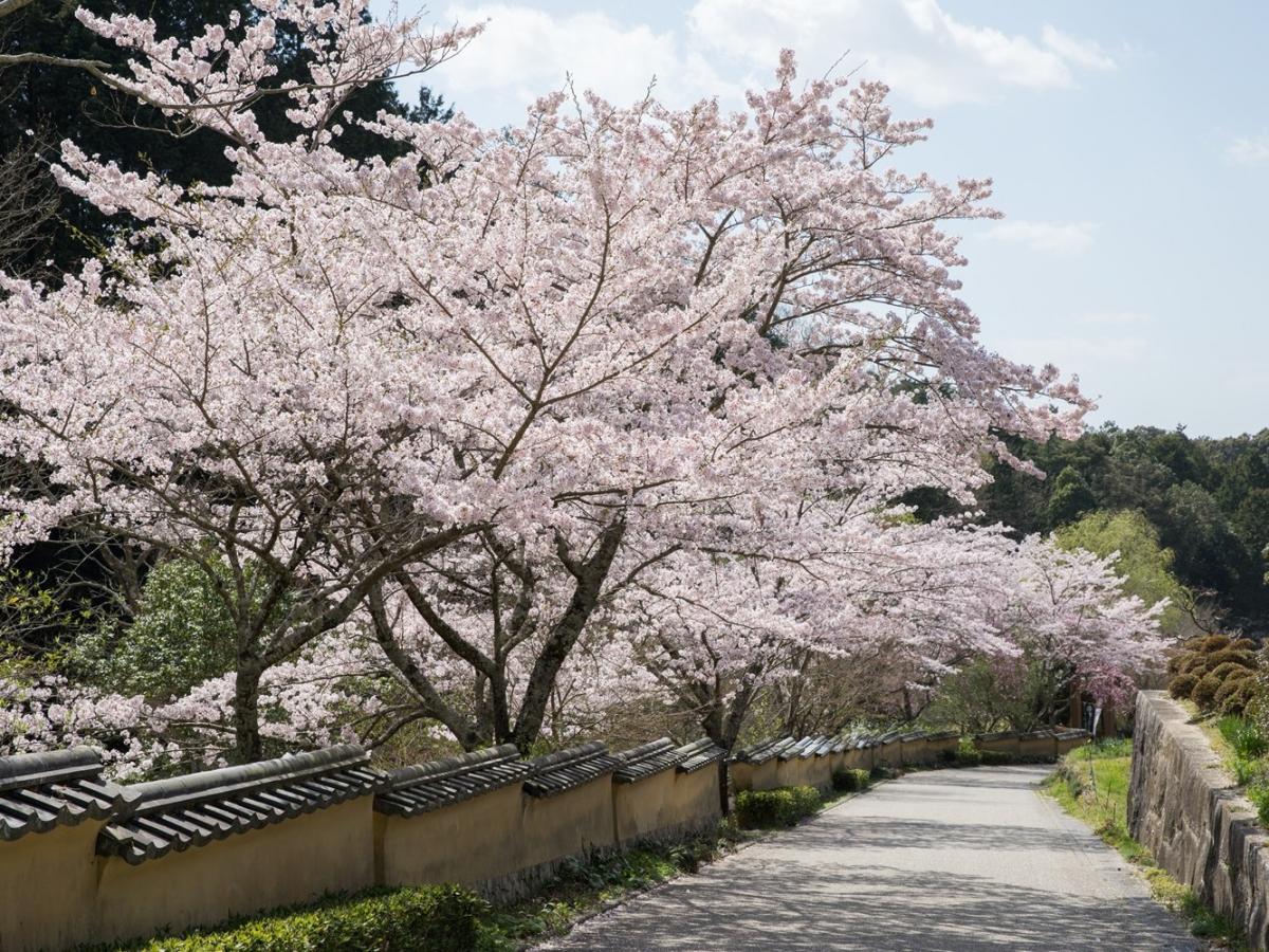 松平郷